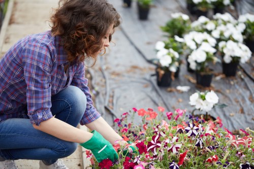 Community garden beds and volunteers in Plaistow