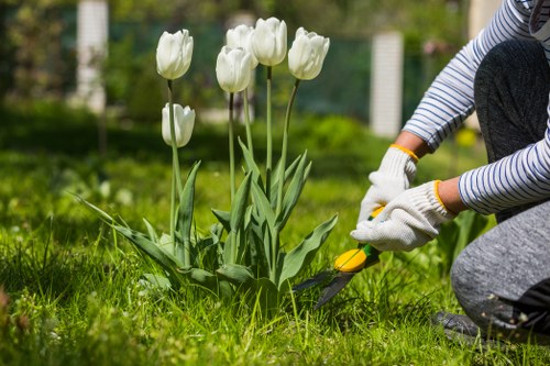 Person using a screen reader while viewing gardening resources