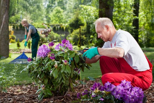 Technician inspecting garden machinery and safety equipment